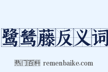 鹭鸶藤反义词是什么意思的图片
